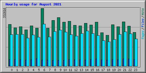 Hourly usage for August 2021