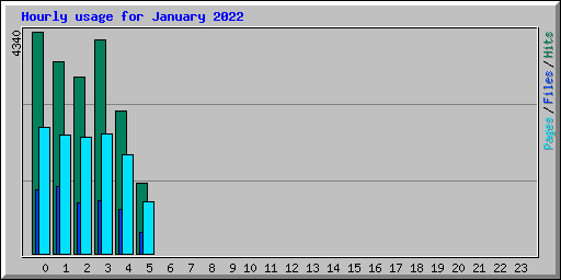 Hourly usage for January 2022