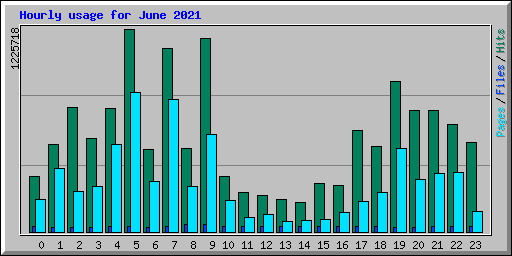 Hourly usage for June 2021