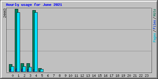 Hourly usage for June 2021