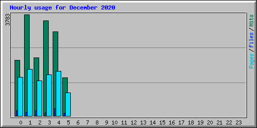 Hourly usage for December 2020