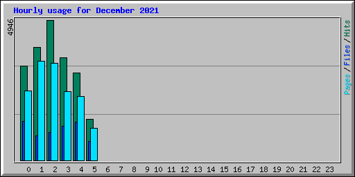 Hourly usage for December 2021