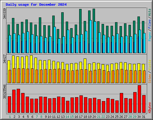 Daily usage for December 2024