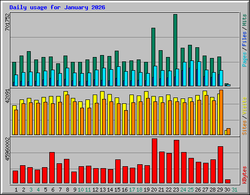 Daily usage for January 2026