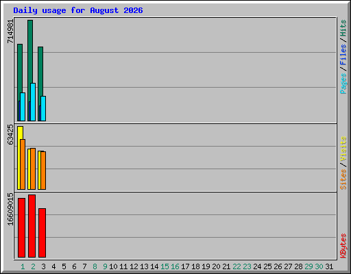 Daily usage for August 2026
