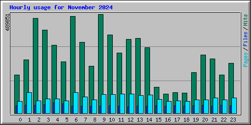 Hourly usage for November 2024