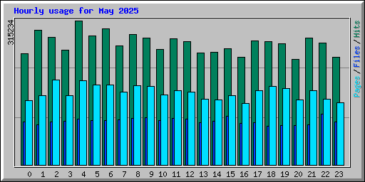 Hourly usage for May 2025
