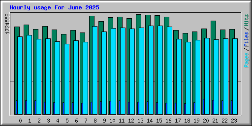 Hourly usage for June 2025