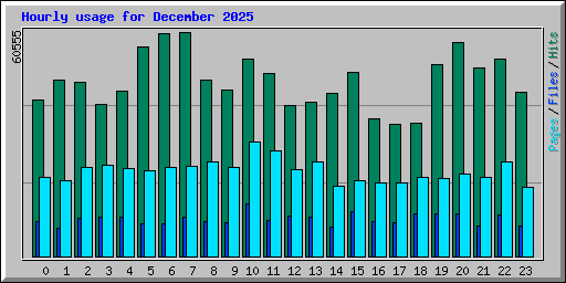 Hourly usage for December 2025