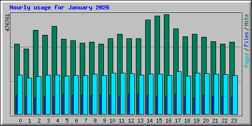Hourly usage for January 2026