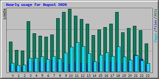 Hourly usage for August 2026