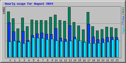 Hourly usage for August 2024