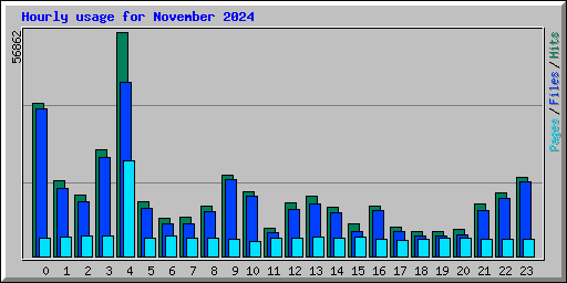 Hourly usage for November 2024