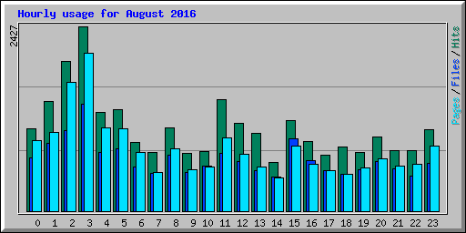 Hourly usage for August 2016