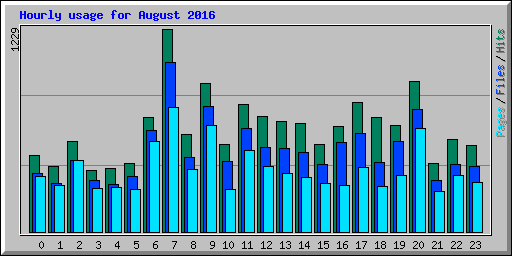 Hourly usage for August 2016