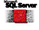 MS SQL Server