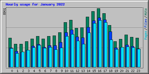 Hourly usage for January 2022