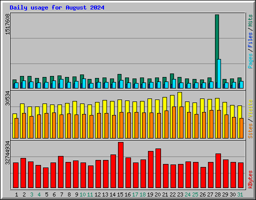 Daily usage for August 2024