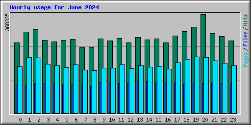 Hourly usage for June 2024