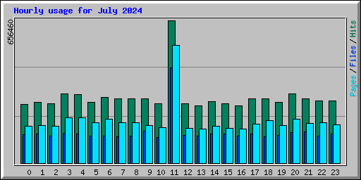 Hourly usage for July 2024