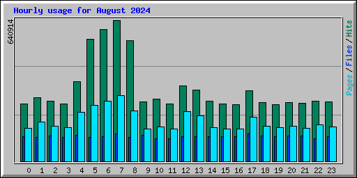 Hourly usage for August 2024