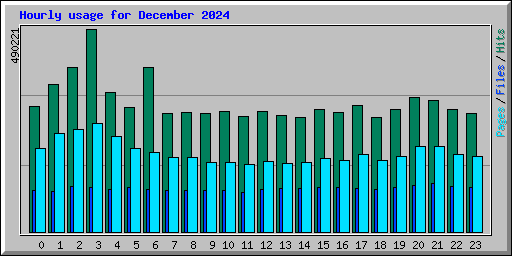 Hourly usage for December 2024