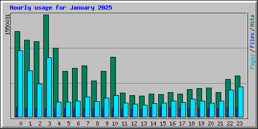 Hourly usage for January 2025