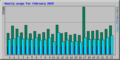 Hourly usage for February 2025