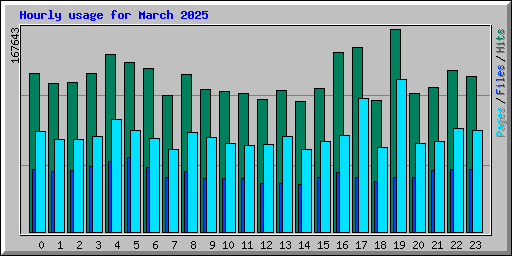 Hourly usage for March 2025