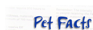 Pet Facts