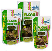 Hikari Algae Wafers