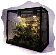 The Reptarium Naturalistic Habitat